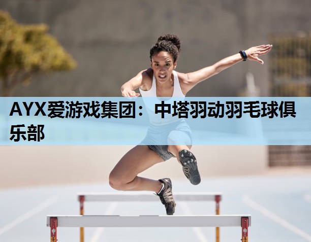 中塔羽动羽毛球俱乐部 中塔羽动羽毛球俱乐部