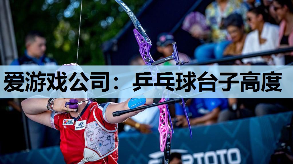 乒乓球台子高度 乒乓球台子高度