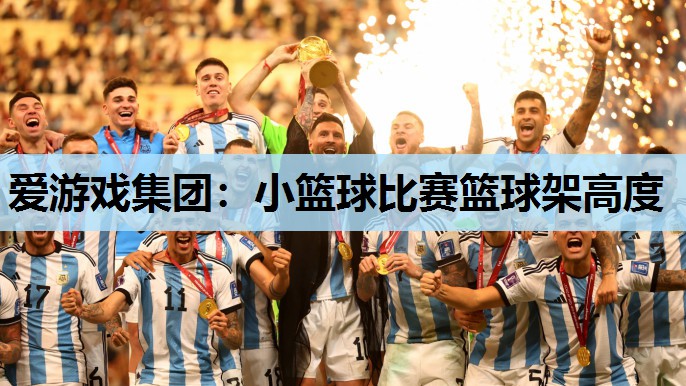 小篮球比赛篮球架高度 小篮球比赛篮球架高度