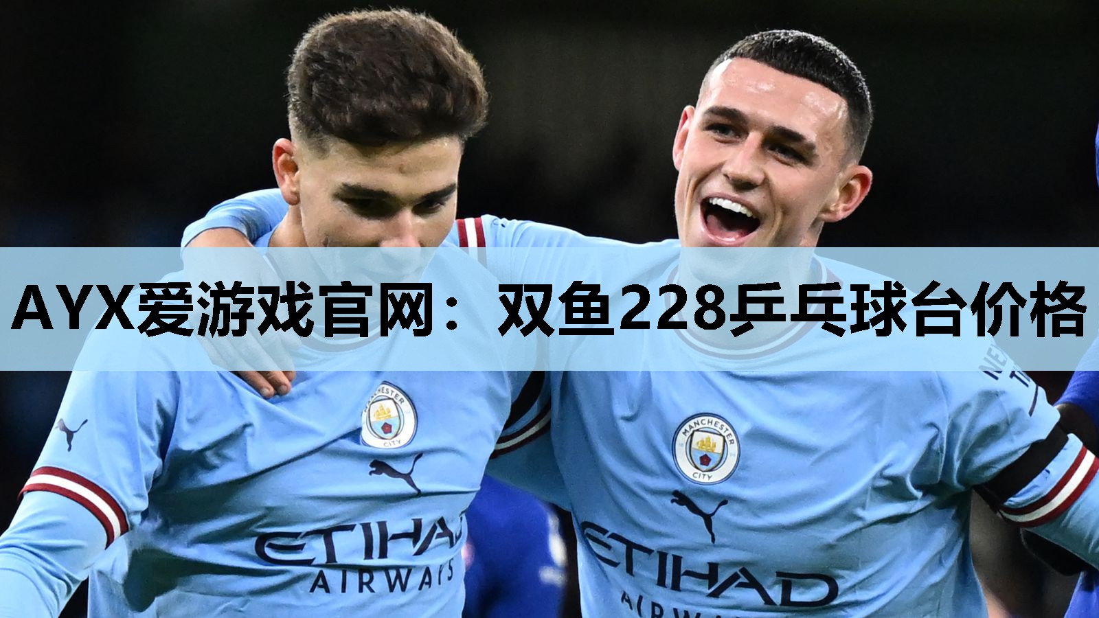 双鱼228乒乓球台价格 双鱼228乒乓球台价格