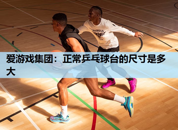 正常乒乓球台的尺寸是多大 正常乒乓球台的尺寸是多大