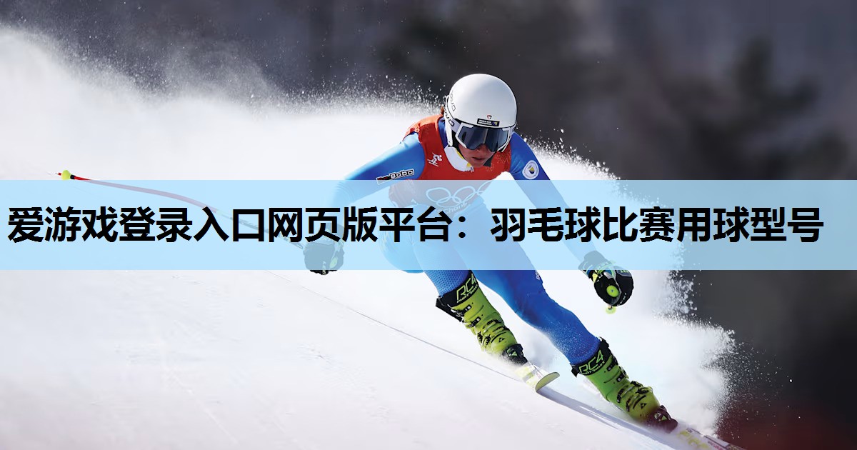 羽毛球比赛用球型号 羽毛球比赛用球型号